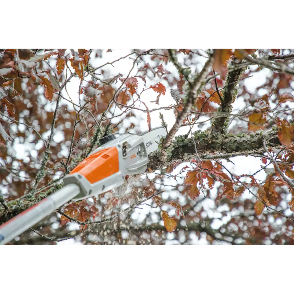 Stihl HTA 50 Pruner