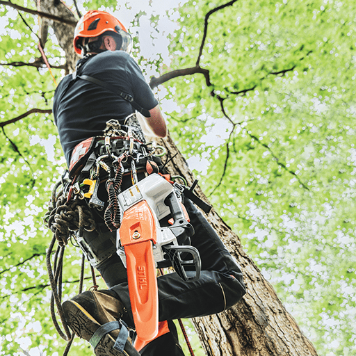 Stihl MSA 161 T Climbing