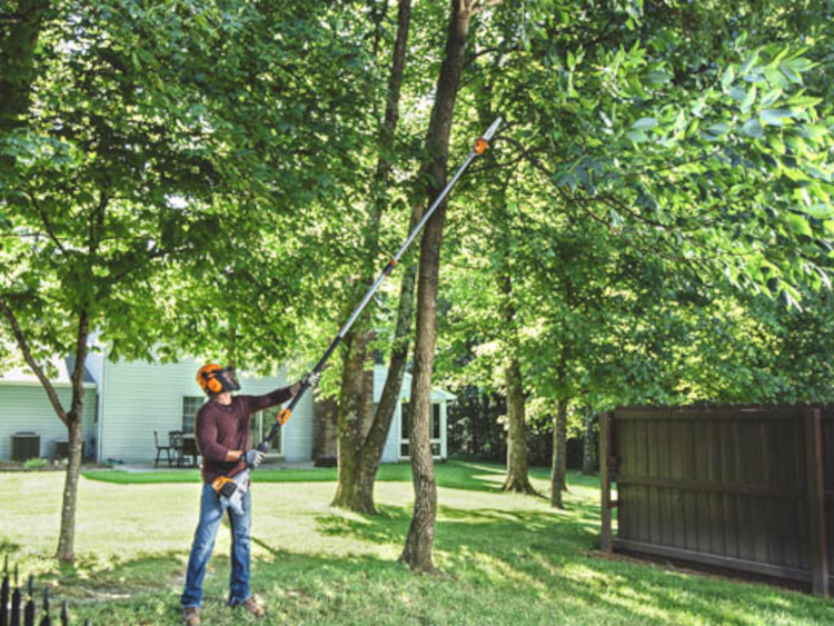 Stihl HT 105 Pole Pruner