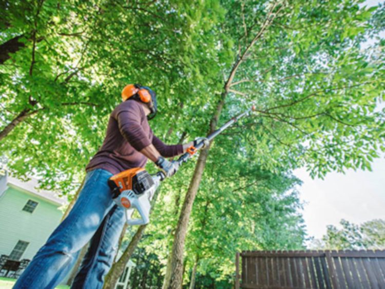 Stihl HT 105 Pole Pruner